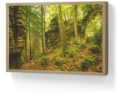 Wandlamp 60x40 cm - Oplaadbaar - Bomen - Steen - Bos - Natuur - Planten - Wandlampen binnen woonkamer - Slaapkamer lamp - Decoratieve nachtlamp - Vloerlamp draadloos