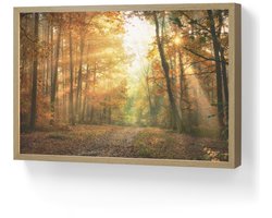 Wandlamp 60x40 cm - Oplaadbaar - Bos - Herfst - Zon - Landschap - Natuur - Bomen - Bladeren - Wandlampen binnen woonkamer - Slaapkamer lamp - Decoratieve nachtlamp - Vloerlamp draadloos