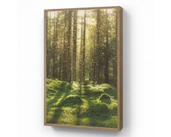 Wandlamp 60x90 cm - Oplaadbaar - Bomen - Bos - Mos - Planten - Zon - Natuur - Wandlampen binnen woonkamer - Slaapkamer lamp - Decoratieve nachtlamp - Vloerlamp draadloos