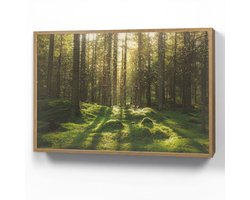 Wandlamp 90x60 cm - Oplaadbaar - Bomen - Bos - Mos - Planten - Zon - Natuur - Wandlampen binnen woonkamer - Slaapkamer lamp - Decoratieve nachtlamp - Vloerlamp draadloos