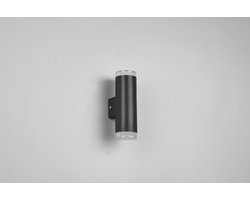 Wandlamp Trio Leuchten Ray - Zwart