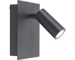 Wandlamp Trio Leuchten Tunga - Antraciet