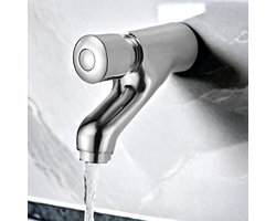 Wandmontage Wastafelmengkraan met Zelfsluitende Drukknop voor Koud Water, Duurzaam Messing met Chroomafwerking voor Badkamer en Keuken