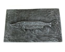 Wandplaat Snoek Zwemmend