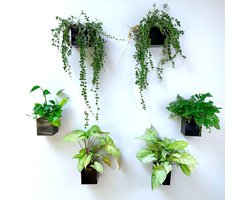Wandplantenbakken Set - Metalen Potten - Planten Decoratie - Trendy Boho Stijl - 6 Stuks - Zwart