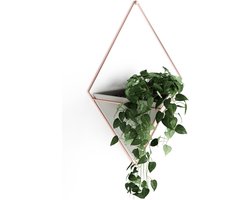 Wandvaas en geometrische decoratie - plantenbak voor kamerplanten - Umbra Trigg - beton/koper - groot - 1 stuk