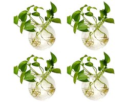 Wandvaas Handgemaakt - Glazen Wandpot - Terrariumplanten - Wanddecoratie - Set van 4 - Hittebestendig en Makkelijk te Onderhouden - Plantenvaas