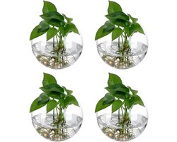 Wandvaas hangende bloempotten - set van 4 - 10 cm - glazen flessentuin terraria bubble wand - planten binnen vetplanten bloemen aquaria