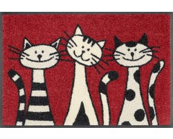 wash+dry Deurmat, Three Cats 40x60 cm, binnen en buiten, wasbaar