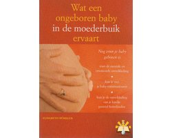 Wat een ongeboren baby in de moederbuik ervaart