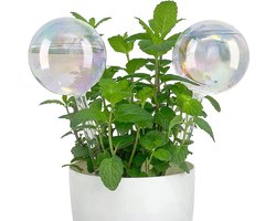 Waterdispenser, glazen irrigatieballen met elegante geschenkdoos, plantenirrigatie voor vakantieplanten, zelfbewateringsapparaat voor binnen- en buitenplanten, 2 stuks