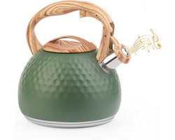 Waterkoker 3L RVS met Fluitfunctie en Hittebestendige Handgreep - Geschikt voor Alle Warmtebronnen