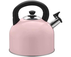 Waterkoker Fluitketel - Theepot Fornuis - Water Koken - Verdikte Bodem - 4 Liter - Zilver