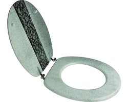 wc-bril Duroplast, toiletbril met softclosemechanisme en snelsluiting voor eenvoudige reiniging