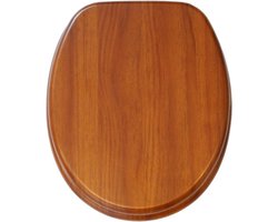 WC-Brillen - Comfortabele en Duurzame Toiletzittingen met Softclose & Antibacteriële Afwerking - Universele Pasvorm