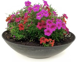 weerbestendige plantenbak voor buiten - grote decoratieve schaal in zwart gemarmerd als bloemenschaal - platte tuinschaal 35 cm voor bloemen, bonsai of begraafplaats grafsieraden