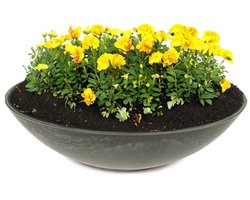 Weerbestendige plantenschaal 35 cm voor buiten - grote platte decoratieve schaal in zwart met marmering