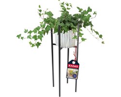 Weerbestendige Plantenstandaard van Staal voor Binnen en Buiten