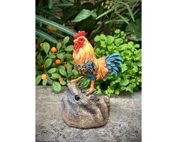 Welkom haan 12 cm hoog - levensecht - hond - dog - polyester - polyresin - polystone - hoogkwalitatieve kunststof - decoratiefiguur - interieur - accessoire - voor binnen - cadeau - geschenk - tuinfiguur - tuinbeeldje - tuindecoratie