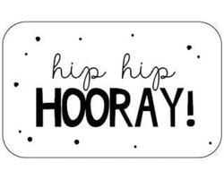 Wens sticker- Cadeausticker- Traktatie- Verjaardag- Hip Hip Hooray - 25 stuks