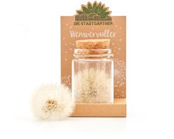 Wensvervuller - handgemaakt cadeau - pluizenbol met 100 wensen - oneindig houdbaar - sociaal verantwoord