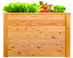 Westmann - WMHL100 - Plantenbak - Bloembak - Tuin Hochbeed - 65 x 66 x 100 cm