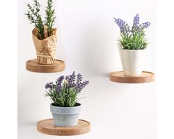 White-Label® Wandrek Rond - Plantensteun - Wandplank
