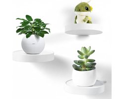 White-Label® Wandrek Rond - Plantensteun - Wandplank