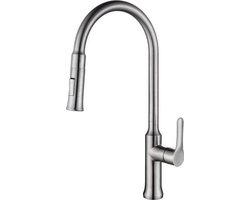 Wiesbaden 304 Oxford Keukenkraan - Met uittrekbare handdouche - RVS