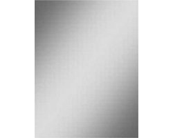 Wiesbaden Spiegels 5Mm Rechthoek 60x40