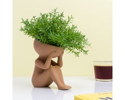 Winkee Planten In Mijn Hoofd Bloempot