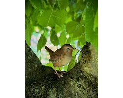 Winterkoning 9.5 cm hoog - ware grootte - levensecht - polyester - polystone - beeld - tuinbeeld - hoogkwalitatieve kunststof - decoratiefiguur - interieur - accessoire - voor binnen - voor buiten - cadeau - geschenk - vogelliefhebber