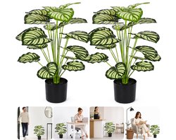 Wishdor Kunstplant Calathea - Set van 2 - 70 cm - Levensechte Grote Kamerplant incl. Zwarte Pot - Faux Planten Woonkamer Decoratie