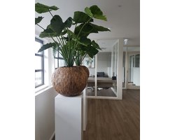 Wit Gelakte Sokkel/Zuil/Pilaar - 40x40x100cm (lxbxh) - MDF - Sokkelfabriek.nl