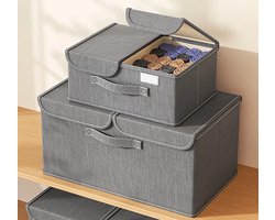 Without Lemon - Set van 2 - Kleding Opberger met deksel - Opvouwbaar Organizer - Verdeler - Ruimtebesparing - Ondergoed - Accessoires - 50x30x25cm - Large - Grijs