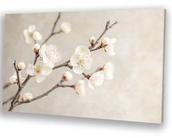 Witte bloesem op takken - Bloesem canvas schilderijen - Canvas schilderijen bloemen - Minimalisme - Muurdecoratie landelijk - Woonaccessoires - canvas 100x75 cm