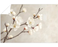 Witte bloesem op takken - Bloesem tuinprints - Tuinmuurdecoratie bloemen - Minimalisme - Tuin accessoires - Tuinontwerp decoratie - tuinposter 90x60 cm