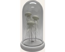 Witte Kwallen（YF-02-KWAL-WIT-LED）