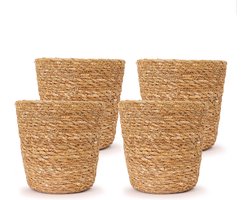 WL Plants - Maki Naturel - Set van 4 - Plantenmand - Plantenmand Binnen - Bloempot - Plantenhouder - Bloempotten voor Binnen - Gemaakt van Riet - 13cm hoog - 12cm diameter