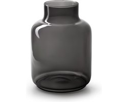 WL Plants Vaas Gigi - Zwarte Vaas voor binnen - Glazen Vaas - Bloemenvaas - H25x Ø9cm - Vaas Glas - Vaas Zwart - Zwarte Bloemenvaas - Handgemaakt en Stevig verpakt