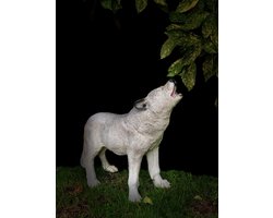 Wolf wit huilend 44 cm - polyresin - polystone - hoogkwalitatieve kunststof - decoratiefiguur - interieur - accessoire - voor binnen - voor buiten - cadeau - geschenk - tuinfiguur - tuinbeeld - Kerst - Nieuwjaar