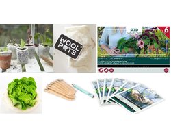 Wool Pots met 6 soorten Bij- en vlinderbloemen zaden set