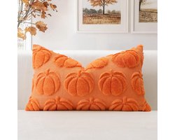 Wool Pumpkin Cushion Cover - Pack of 1 - Soft Plush Short Wool Velvet - Decoratieve Kussenhoezen - Herfst Kussenhoes voor Sofa en Slaapkamer - Halloween Oranje 40
