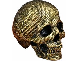 woonaccesoires - skull schedel kleur goud met mooie details - doodshoofd - stevig mooi materiaal - halloween - deco - gift - present - stoer - beeld