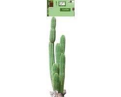Woonaccessoires en Decoratie in Groen - Botanische Wanddecoratie en Cactus Kaars