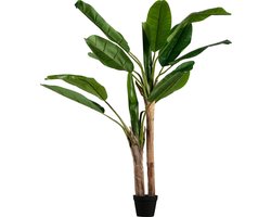 WOOOD Bananenplant Kunstplant - Groen - 97x138x95