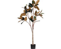 WOOOD Rubber Kunstplant - Groen/Bruin - 170x106x63