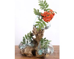 Wortel Houten Vaas - Decoratieve Vaas - Huis Decoratie - Uniek Natuurlijk Design - 50-80 cm - Bruin