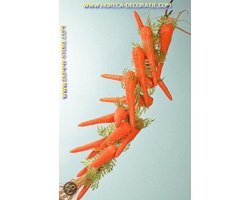 Wortels, streng 15 stuks (dummy)