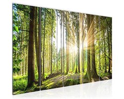 Woud landschap muurschilderij 200 x 80 cm 5 delen - Kleurrijke wanddecoratie voor elke ruimte